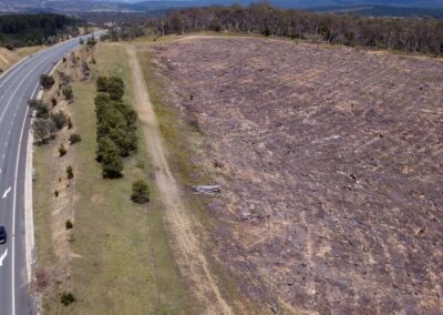 Big bank rejects push to end financing of land clearing