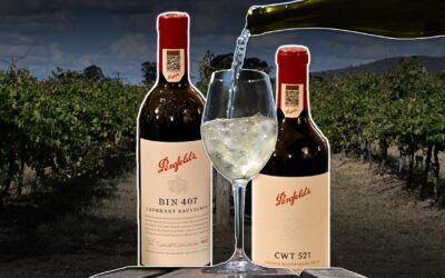 Penfolds owner in no rush to sell discount labels