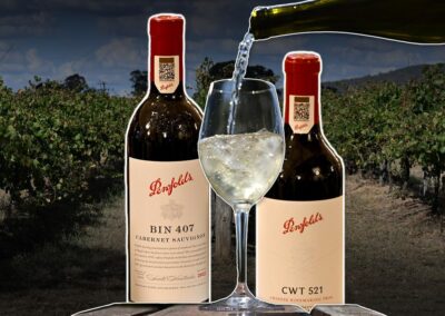 Penfolds owner in no rush to sell discount labels