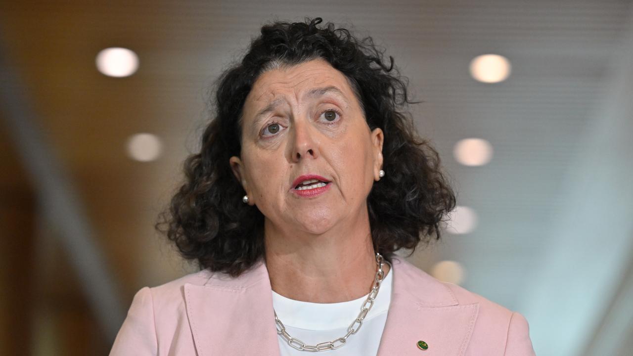Independent member for Kooyong Monique Ryan