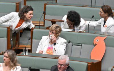 ‘Luminous generosity’: tearful tributes flow for Haines