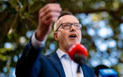 Money for nothing: new Greens leader’s national pitch