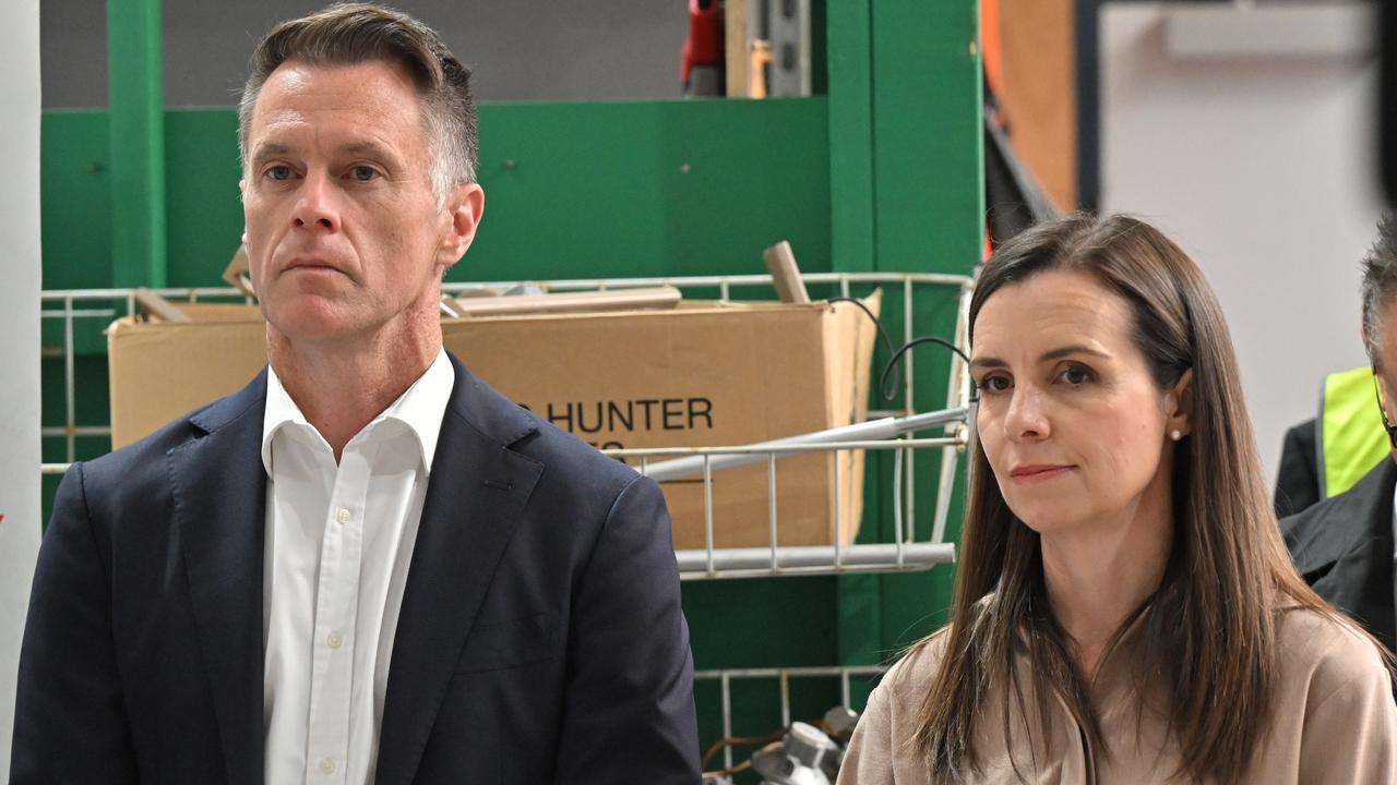 Chris Minns and Minister for Natural Resources Courtney Houssos