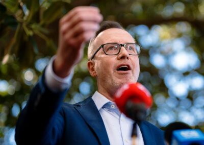 Greens want new tax policy on the table before election