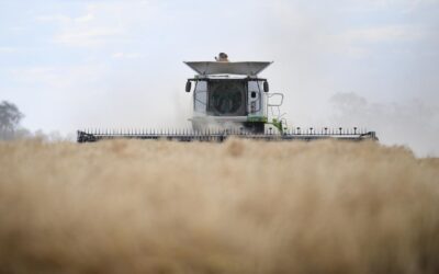 ‘Serious harm’: all eyes on Australia over toxic spray