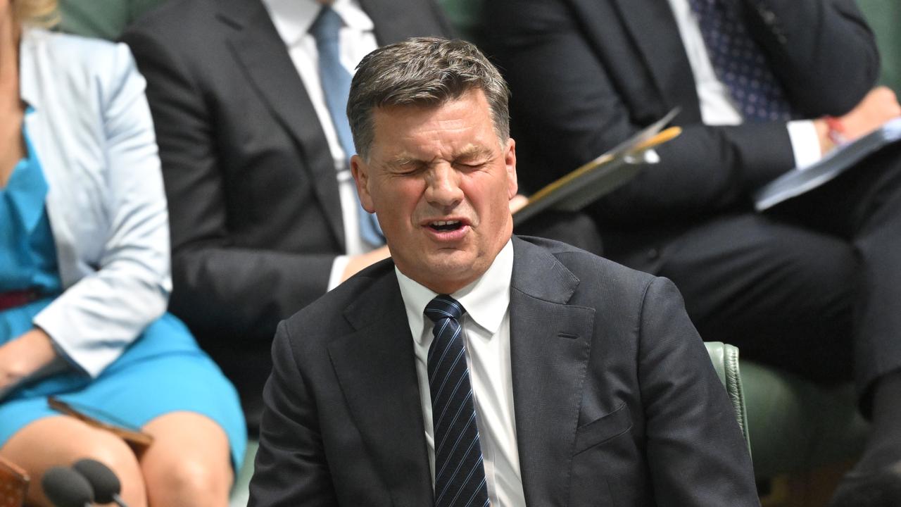 Opposition Leader Angus Taylor