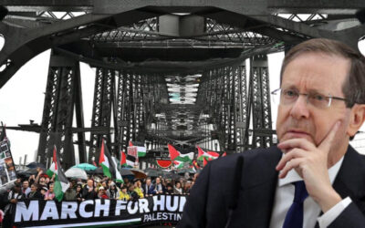 Island visits. Herzog backlash crushes Albo’s ‘social cohesion’ 