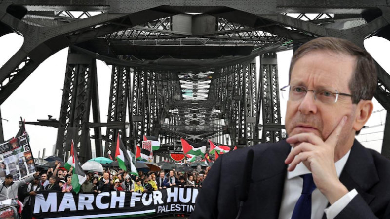 Herzog on a bridge too far